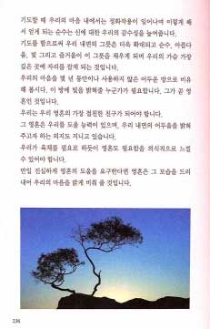 wings-2