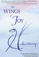 wings-3